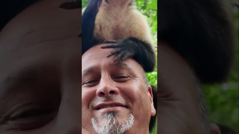 Monkeying Around: The Ultimate Selfie Moment!